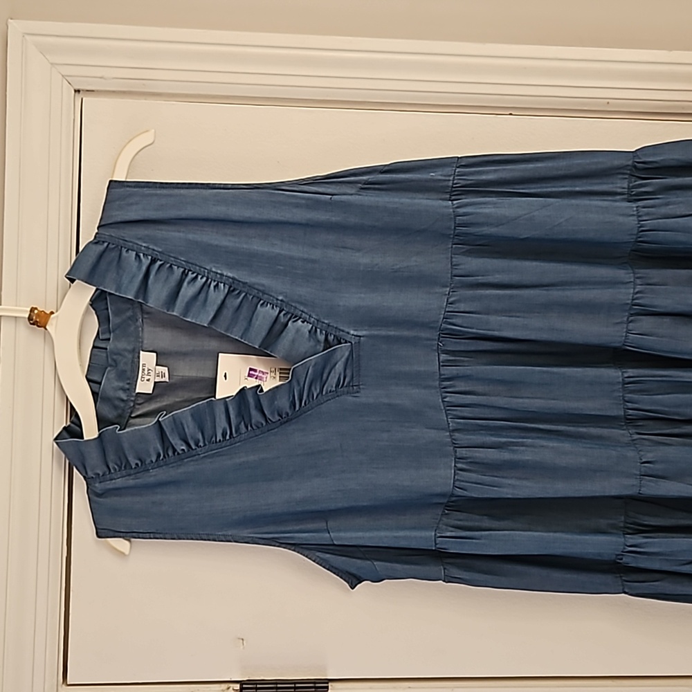 NWT Crown and Ivy dress